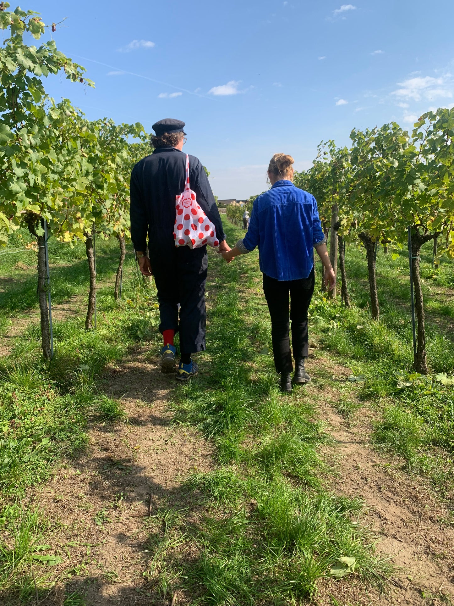 Weinhauer Brustbauers Weingarten-Picknick