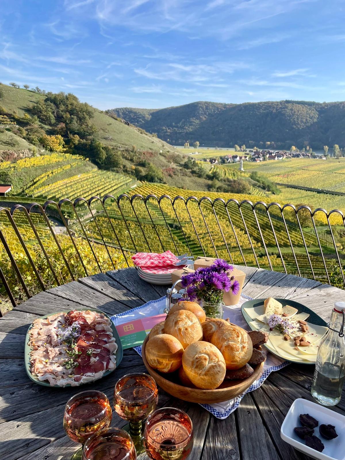 Weinhauer Brustbauers Weingarten-Picknick